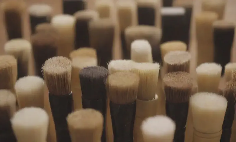 The Ultimate Guide to Cat Brushes for Every Need