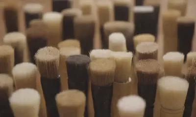 The Ultimate Guide to Cat Brushes for Every Need