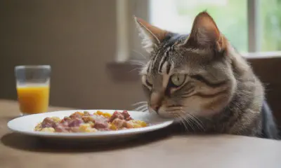 Essential Vitamins for Optimal Cat Health