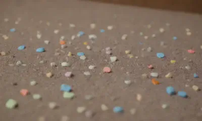 Types of Cat Litter: A Comprehensive Guide